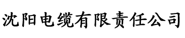 91香蕉视频免费电缆厂logo